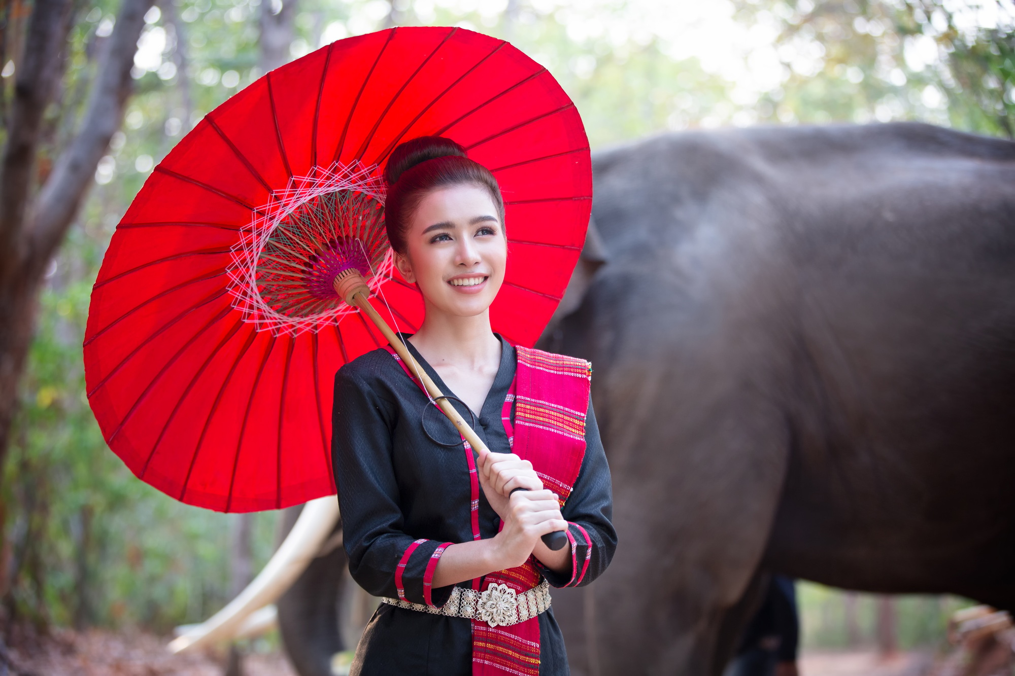 Elephant and woman in Thailand