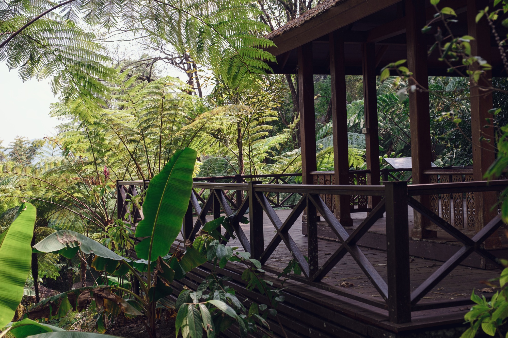 A beautiful exotic garden somewhere in the north of Thailand.