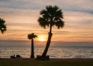 Palm trees at the beach at the beach during sunset at Na Jomtien Pattaya Thailand