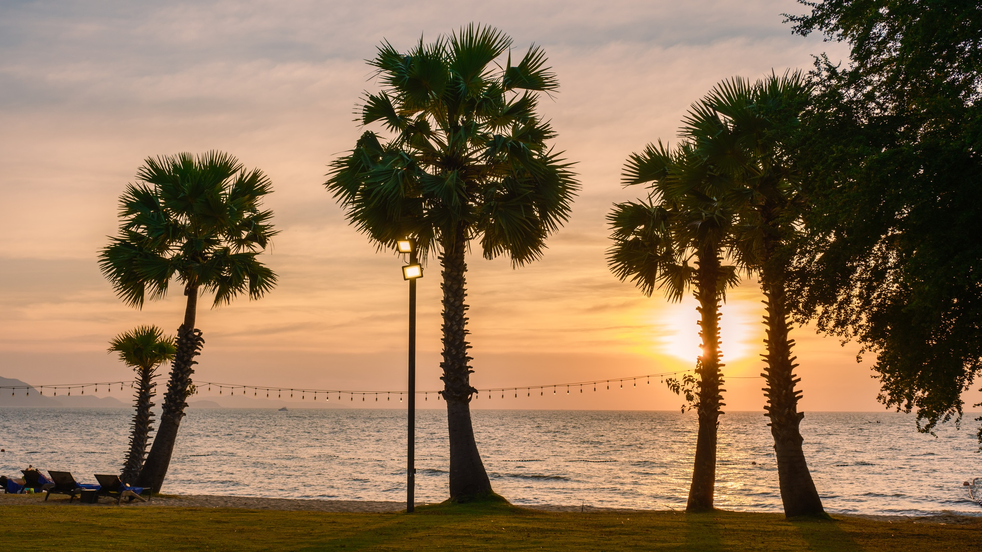 Palm trees at the beach at the beach during sunset at Na Jomtien Pattaya Thailand