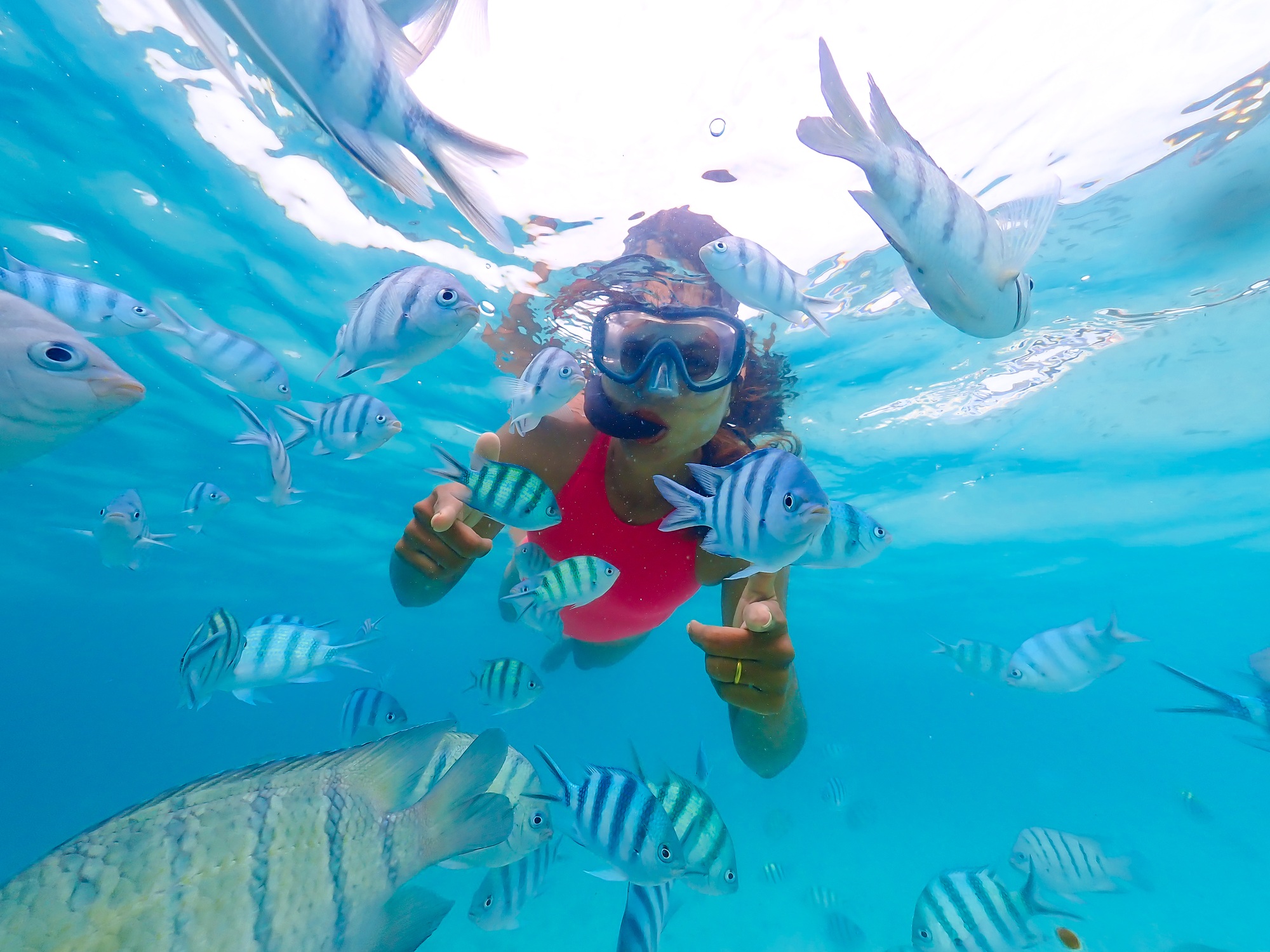 snorkeling trip at Samaesan Thailand dive underwater with fishes in the coral reef sea pool